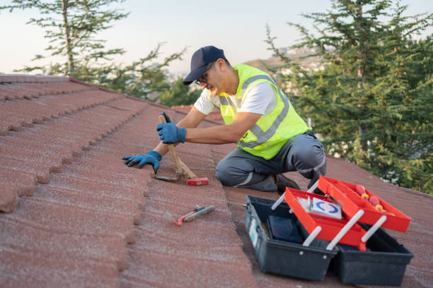 Best Roof Leak Repair  in Kalkaska, MI